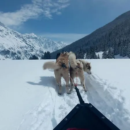 Evasion Alpine - Vue Imprenable & Confort Moderne La Plagne